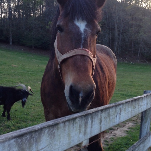 Meet your Posher, Kelly - Picture 5 of 9